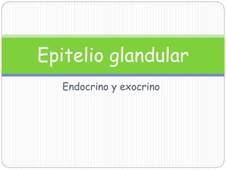 Endocrino y exocrino
Epitelio glandular
 