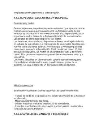 emplearse con fruta próxima a la recolección.
7.1.5. HOPLOCAMPADEL CIRUELO Y DEL PERAL
Descripcióny daños
Se asemeja a una pequeña avispa de cuatro alas, que aparece desde
mediados de marzo a principios de abril. La fecha de salida de los
insectos se produce en la misma épocacada año, dependiendo de la
importancia de los daños de la fechade floración de las variedades.
Los adultos se alimentan del polen y del néctar.
Las hembras, con su taladro, depositanun huevo en el tejido del cáliz,
en la base de los sépalos.La hoplocampade las ciruelas depositasus
huevos sobre las flores abiertas, mientras que la hoplocampade las
peras pone los suyos sobre el botón floral. Las larvas nacen 10 días
después de la puesta. Se meten en el corazón del fruto y devoran el
centro. Dos peras son necesarias para el desarrollo de una larva, y a
veces tres.
Los frutos, atacados en pleno corazón y perforados conun agujero
como el de un sacabocados,caen cuando tiene el grosor de un
guisante. La larva desprende un olor característico a chinche.
Métodos de control
Se obtienen buenos resultados siguiendo las siguientes normas:
- Tratara la caídade los pétalos en el peral y al principio de la floración
en el ciruelo.
- Mojar abundantemente las flores.
- Utilizar máquinas de fuerte presión:20-30 atmósferas.
- Entre los insecticidas más adecuados,pueden usarse: metilazinfos,
formotion,fosalone,triclorfon.
7.1.6. ARAÑUELO DEL MANZANO Y DEL CIRUELO
 