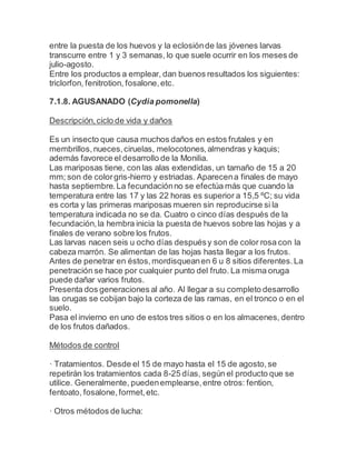 entre la puesta de los huevos y la eclosiónde las jóvenes larvas
transcurre entre 1 y 3 semanas, lo que suele ocurrir en los meses de
julio-agosto.
Entre los productos a emplear, dan buenos resultados los siguientes:
triclorfon, fenitrotion, fosalone,etc.
7.1.8. AGUSANADO (Cydia pomonella)
Descripción,ciclo de vida y daños
Es un insecto que causa muchos daños en estos frutales y en
membrillos,nueces,ciruelas, melocotones,almendras y kaquis;
además favorece el desarrollo de la Monilia.
Las mariposas tiene, con las alas extendidas, un tamaño de 15 a 20
mm; son de colorgris-hierro y estriadas. Aparecena finales de mayo
hasta septiembre.La fecundaciónno se efectúa más que cuando la
temperatura entre las 17 y las 22 horas es superior a 15,5 ºC; su vida
es corta y las primeras mariposas mueren sin reproducirse si la
temperatura indicada no se da. Cuatro o cinco días después de la
fecundación,la hembra inicia la puesta de huevos sobre las hojas y a
finales de verano sobre los frutos.
Las larvas nacen seis u ocho días despuésy son de color rosa con la
cabeza marrón. Se alimentan de las hojas hasta llegar a los frutos.
Antes de penetrar en éstos,mordisqueanen 6 u 8 sitios diferentes.La
penetración se hace por cualquier punto del fruto. La misma oruga
puede dañar varios frutos.
Presenta dos generaciones al año. Al llegar a su completo desarrollo
las orugas se cobijan bajo la corteza de las ramas, en el tronco o en el
suelo.
Pasa el invierno en uno de estos tres sitios o en los almacenes, dentro
de los frutos dañados.
Métodos de control
· Tratamientos. Desde el 15 de mayo hasta el 15 de agosto,se
repetirán los tratamientos cada 8-25 días, según el producto que se
utilice. Generalmente, puedenemplearse,entre otros: fention,
fentoato, fosalone,formet,etc.
· Otros métodos de lucha:
 