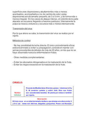 superficie unas depresiones y abultamientos más o menos
acentuados, acompañados o no de cambio de color; estas
depresiones sonde tamaño pequeño,de 3 a 5 mm, y de forma más o
menos irregular. En los casos de ataque intenso, el colorido de la parte
atacada se oscurece,llegando a hacerse parduzco. Internamente la
pulpa se reseca,endurece y oscurece más o menos intensamente.
Transmisión del virus
Por lo que ahora se sabe, la transmisión del virus se realiza por el
injerto.
Métodos de control
· No hay posibilidad de lucha directa. El único procedimiento eficaz
está encaminado a evitar su propagación;consiste en injertar con
yemas procedentesde árboles de más de 20 años, en los que no se
haya observado nunca la enfermedad en frutos.
· Otras medidas complementarias:
- Evitar los abonados nitrogenados en la maduración de la fruta.
- Evitar los riegos excesivos en la maduración de la fruta.
CIRUELO:
Nombre
CIRUELO
Procede del Mediterráneo Oriental y posee vitaminas A, B y
E. Al contener potasio y sobre todo fibra sus frutos
son considerados laxantes. Se planta por estaca o también
por injerto.
Descripción
El fruto crece en un árbol de tamaño mediano, que alcanza una altura entre 5
y 6 m. Las ramas son alternas, delgadas y pequeñas. Posee una floración
 