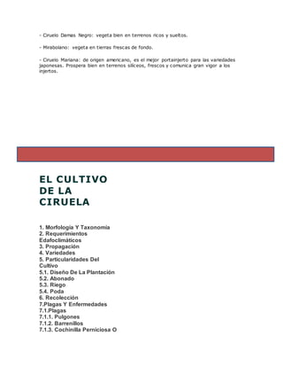 - Ciruelo Damas Negro: vegeta bien en terrenos ricos y sueltos.
- Mirabolano: vegeta en tierras frescas de fondo.
- Ciruelo Mariana: de origen americano, es el mejor portainjerto para las variedades
japonesas. Prospera bien en terrenos silíceos, frescos y comunica gran vigor a los
injertos.
EL CULTIVO
DE LA
CIRUELA
1. Morfología Y Taxonomía
2. Requerimientos
Edafoclimáticos
3. Propagación
4. Variedades
5. Particularidades Del
Cultivo
5.1. Diseño De La Plantación
5.2. Abonado
5.3. Riego
5.4. Poda
6. Recolección
7.Plagas Y Enfermedades
7.1.Plagas
7.1.1. Pulgones
7.1.2. Barrenillos
7.1.3. Cochinilla Perniciosa O
 