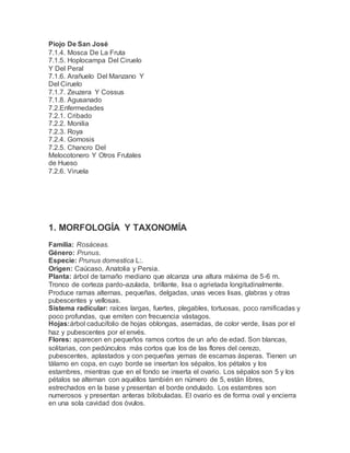 Piojo De San José
7.1.4. Mosca De La Fruta
7.1.5. Hoplocampa Del Ciruelo
Y Del Peral
7.1.6. Arañuelo Del Manzano Y
Del Ciruelo
7.1.7. Zeuzera Y Cossus
7.1.8. Agusanado
7.2.Enfermedades
7.2.1. Cribado
7.2.2. Monilia
7.2.3. Roya
7.2.4. Gomosis
7.2.5. Chancro Del
Melocotonero Y Otros Frutales
de Hueso
7.2.6. Viruela
1. MORFOLOGÍA Y TAXONOMÍA
Familia: Rosáceas.
Género: Prunus.
Especie: Prunus domestica L:.
Origen: Caúcaso, Anatolia y Persia.
Planta: árbol de tamaño mediano que alcanza una altura máxima de 5-6 m.
Tronco de corteza pardo-azulada, brillante, lisa o agrietada longitudinalmente.
Produce ramas alternas, pequeñas, delgadas, unas veces lisas, glabras y otras
pubescentes y vellosas.
Sistema radicular: raíces largas, fuertes, plegables, tortuosas, poco ramificadas y
poco profundas, que emiten con frecuencia vástagos.
Hojas:árbol caducifolio de hojas oblongas, aserradas, de color verde, lisas por el
haz y pubescentes por el envés.
Flores: aparecen en pequeños ramos cortos de un año de edad. Son blancas,
solitarias, con pedúnculos más cortos que los de las flores del cerezo,
pubescentes, aplastados y con pequeñas yemas de escamas ásperas. Tienen un
tálamo en copa, en cuyo borde se insertan los sépalos, los pétalos y los
estambres, mientras que en el fondo se inserta el ovario. Los sépalos son 5 y los
pétalos se alternan con aquéllos también en número de 5, están libres,
estrechados en la base y presentan el borde ondulado. Los estambres son
numerosos y presentan anteras bilobuladas. El ovario es de forma oval y encierra
en una sola cavidad dos óvulos.
 