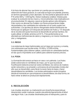 A la hora de abonar hay que tener en cuenta que es esencial la
obtenciónde frutos gruesos,lo cual sólo se logra con plantas jóvenes,
en terreno apropiado y bien abonado. Es frecuente la aplicación de N-
P-K entre 600 y 1.000 kg/Ha. Debenrealizarse análisis foliares para
evaluar la evolución de los macro y micronutrientes más implicados en
al productividad.En algunos casos se tiende aplicar sólo nitrógeno.
Casi nunca se abonan los frutales con flores porque tienen bajas
necesidadesy las cantidades de nutrientes en el suelo suelen ser
suficientes.Los aportes de abono nitrogenado debendistribuirse de
forma que se apliquen 2/3 después delaclareo de frutos y 1/3 después
de la recolección(para favorecerel desarrollo de yemas fuertes). Se
suele utilizar el nitrato amónico al 33 %. Frecuentemente se ve
afectado por deficiencias de calcio y magnesio y en menor medidade
zinc y manganeso.
5.3. RIEGO
Los sistemas de riego tradicionales son el riego por surcos y a manta,
con volúmenes que oscilan entre 10.000 y 12.000 m3/Ha,
fundamentales para obtener calibre, sobre todo en variedades tardías
en las que lo importante es el calibre para obtenerbuenos precios.
5.4. PODA
La formacióndel cerezo se hace en vaso o en palmeta. Los frutos
están sobre todo en ramilletes de mayo, por lo que la poda de
fructificacióndeberáconservar estos ramilletes; los ramos de madera
serán reducidos y se pinzarán a principios de primaverales brotes del
año que se desarrollen,para llevar la savia hacia la base y hacer
desarrollarse los ramilletes. Los brotes anticipados serán pinzados
desde el momento en que empiecena desarrollarse;de esta forma, se
hará entrar al árbol en producciónrápidamente.
6. RECOLECCIÓN
Las ciruelas anuncian su maduración por el perfume especialque
desprenden;están maduras cuando sacudiendo ligeramente el árbol
cae algún fruto. Las ciruelas destinadas para el transporte y para la
 