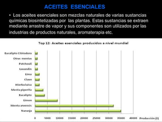 • Los aceites esenciales son mezclas naturales de varias sustancias
químicas biosintetizadas por las plantas. Estas sustancias se extraen
mediante arrastre de vapor y sus componentes son utilizados por las
industrias de productos naturales, aromaterapia etc.
ACEITES ESENCIALES
 