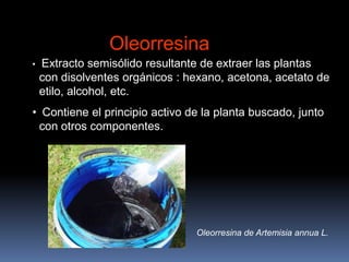Oleorresina
• Extracto semisólido resultante de extraer las plantas
con disolventes orgánicos : hexano, acetona, acetato de
etilo, alcohol, etc.
• Contiene el principio activo de la planta buscado, junto
con otros componentes.
Oleorresina de Artemisia annua L.
 