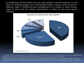 Las producciones de PAM, plantas en las que están incluidas el material vegetal que va a dar
lugar a los diferentes productos que se han analizado (hierbas y especias, aceites esenciales y
extractos), según el MARM provienen principalmente de la cosecha en medio silvestre,
aunque la mayor parte del volumen comercializado se obtiene de unas pocas especies
cultivadas.
Fuente: MARM, 2010
En España se cultivan aproximadamente unas 10.000 hectáreas, siendo muy difícil cuantificar la producción exacta por la complejidad que
tienen algunas especies para su consumo como hierba fresca, seca, especia, o extracto para uso farmacéutico.
Cuantificar las superficies es complicado ya que muchas especies provienen del medio silvestre y la única manera de intuir el mercado
proviene de los datos de exportación e importación que aparecen en las estadísticas de mercados de los diferentes productos o “comodities”.
 