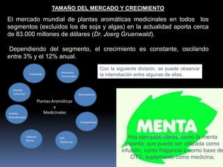 El mercado mundial de plantas aromáticas medicinales en todos los
segmentos (excluidos los de soja y algas) en la actualidad aporta cerca
de 83.000 millones de dólares (Dr. Joerg Gruenwald).
Dependiendo del segmento, el crecimiento es constante, oscilando
entre 3% y el 12% anual.
Nutraceticos
Alimentos
funcionales
Infusiones
Fitoquímicos
OTC
Medicinas
Sabores
Olores
Aceites
Aromaterapia
Hierbas
culinarias
Plantas Aromáticas
y
Medicinales
Con la siguiente división, se puede observar
la interrelación entre algunas de ellas.
TAMAÑO DEL MERCADO Y CRECIMIENTO
Hay ejemplos claros, como la menta
piperita, que puede ser utilizada como
infusión, como fragancia o como base de
OTC, suplemento como medicina;
 