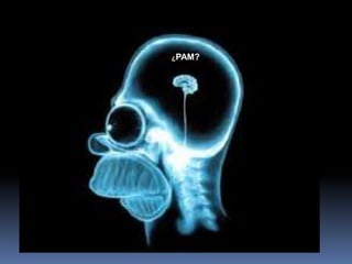 ¿PAM?
 