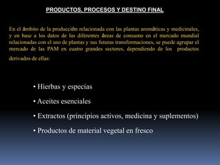 PRODUCTOS, PROCESOS Y DESTINO FINAL
En el ámbito de la producción relacionada con las plantas aromáticas y medicinales,
y en base a los datos de las diferentes áreas de consumo en el mercado mundial
relacionadas con el uso de plantas y sus futuras transformaciones, se puede agrupar el
mercado de las PAM en cuatro grandes sectores, dependiendo de los productos
derivados de ellas:
• Hierbas y especias
• Aceites esenciales
• Extractos (principios activos, medicina y suplementos)
• Productos de material vegetal en fresco
 