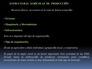 • Terrenos
• Maquinaria y Herramientas
• Infraestructura
Esto va a depender del tipo de organización.
• Tipo de organización
Desde un agricultor a título individual, agrupación local, o cooperativa,
El papel de la mujer rural es un factor importante Esta actividad de las PAM,
llevada hasta la elaboración de productos artesanales para cosmética,
provenientes de zonas rurales es muy demandada en todo tipo de mercado.
ESTRUCTURAS AGRÍCOLAS DE PRODUCCIÓN
Recursos físicos necesarios en la zona de futura actuación:
 