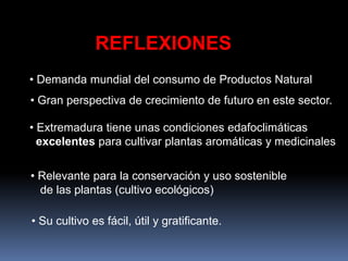 REFLEXIONES
• Demanda mundial del consumo de Productos Natural
• Extremadura tiene unas condiciones edafoclimáticas
excelentes para cultivar plantas aromáticas y medicinales
• Su cultivo es fácil, útil y gratificante.
• Gran perspectiva de crecimiento de futuro en este sector.
• Relevante para la conservación y uso sostenible
de las plantas (cultivo ecológicos)
 