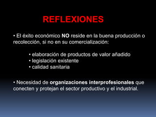 REFLEXIONES
• El éxito económico NO reside en la buena producción o
recolección, si no en su comercialización:
• elaboración de productos de valor añadido
• legislación existente
• calidad sanitaria
• Necesidad de organizaciones interprofesionales que
conecten y protejan el sector productivo y el industrial.
 