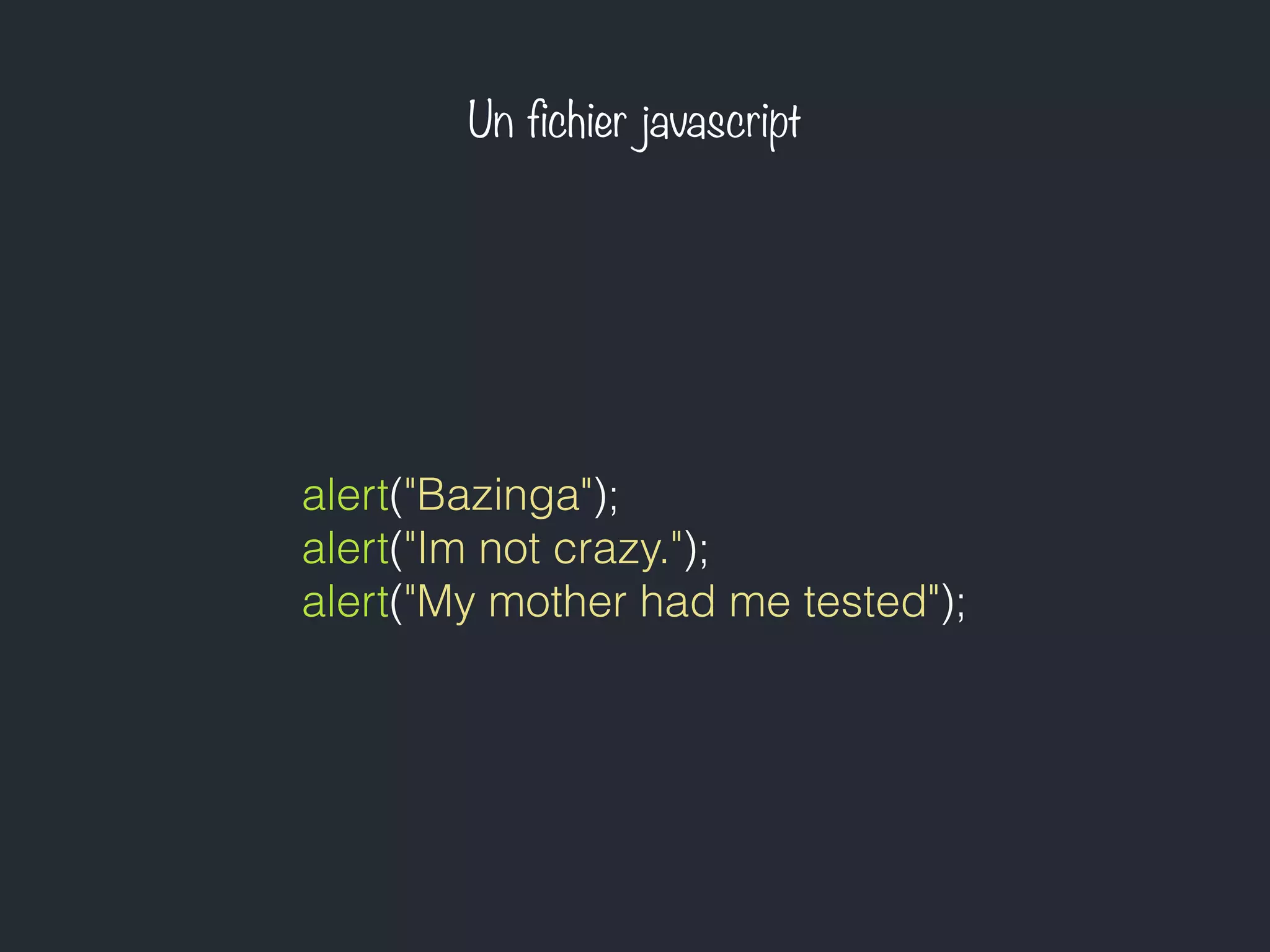 Un fichier javascript
alert("Bazinga");
alert("Im not crazy.");
alert("My mother had me tested");