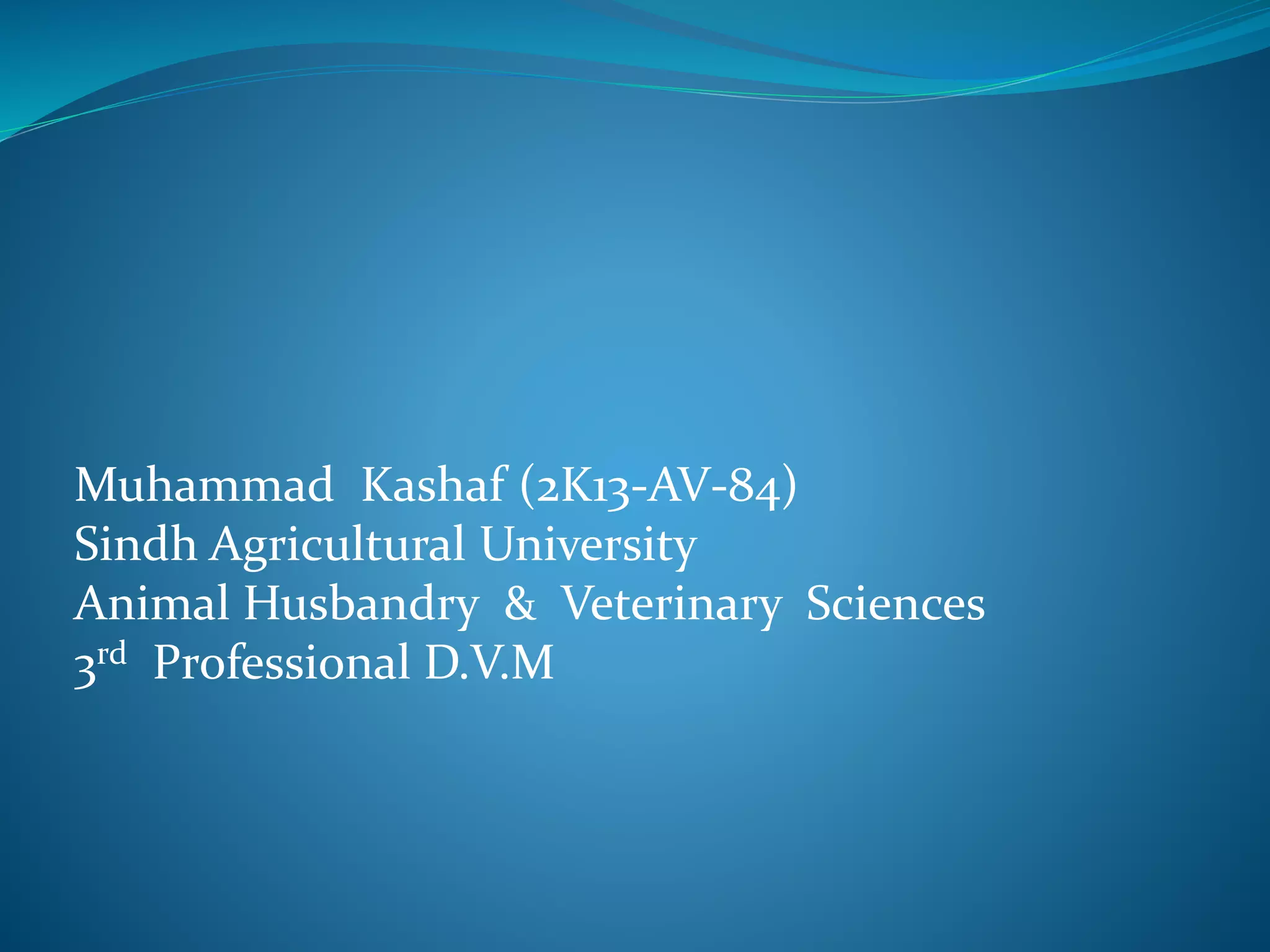 Muhammad Kashaf (2K13-AV-84)
Sindh Agricultural University
Animal Husbandry & Veterinary Sciences
3rd Professional D.V.M
