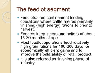 Basic Segments Of Beef Cattle Industry | PPTX