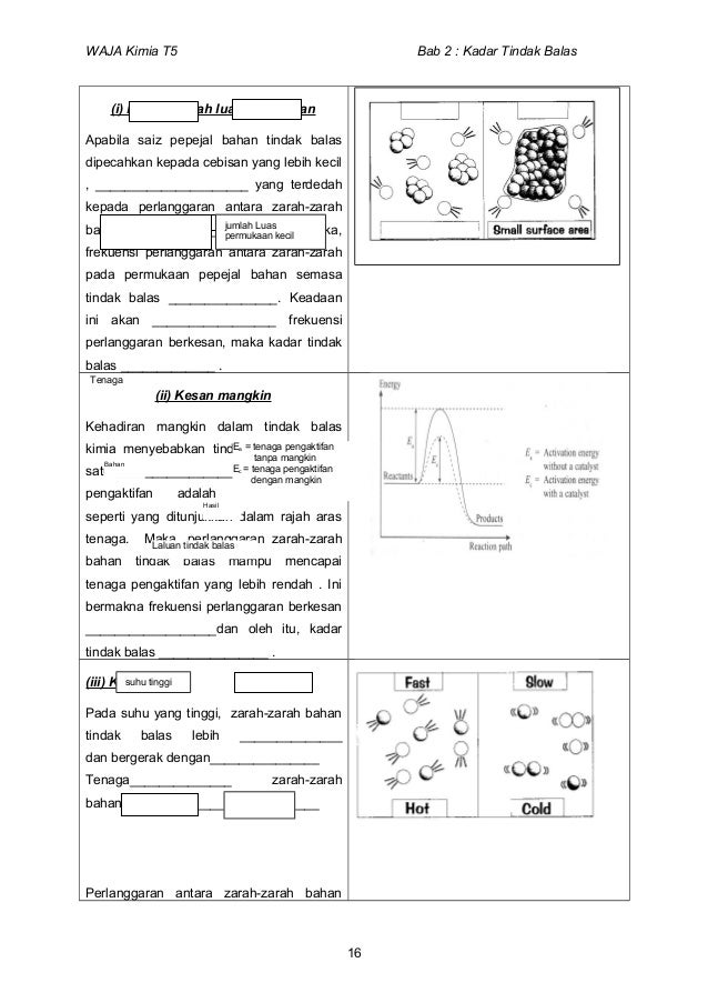 2 Kadar Tindak Balas