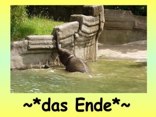 ~*das Ende*~ 