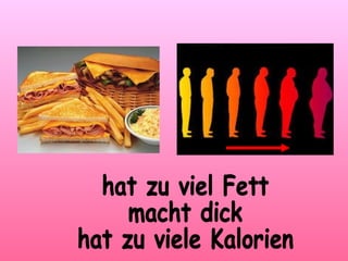 hat zu viel Fett macht dick hat zu viele Kalorien