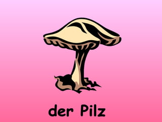 der Pilz