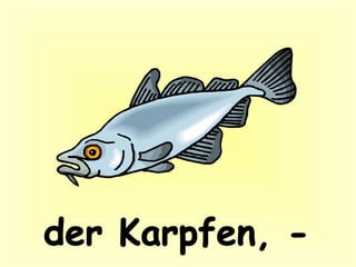 der Karpfen, -