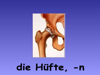 die Hüfte, -n 