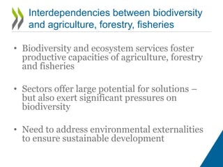 • Biodiversity and ecosystem services foster
productive capacities of agriculture, forestry
and fisheries
• Sectors offer ...