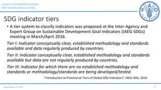 Losses in Food Balance Sheets: Current Status, Imputation, and SDG 12.3 ...