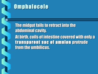 Embryology of Digestive system | PPT