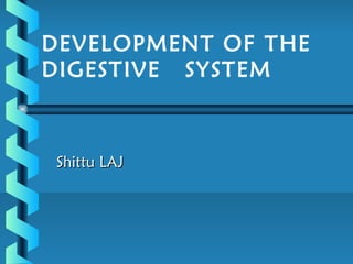 DEVELOPMENT OF THE
DIGESTIVE SYSTEM
Shittu LAJShittu LAJ
 
