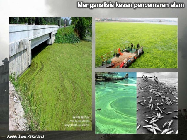 Kesan Pencemaran Alam Sekitar