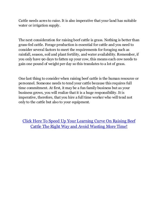 2 Key Questions To Think About When Raising Beef Cattle