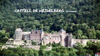CASTELL DE HEIDELBERG {ALEMANYA}
 