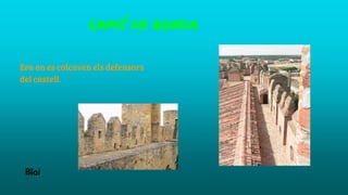 CAMÍ DE RONDA
Era on es colcaven els defensors
del castell.
Blai
 