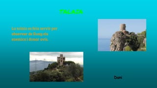 TALAIA
La talaia es feia servir per
observar de lluny els
enemics i donar avís.
Dani
 