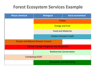 Forest Ecosystem Services Example
Physic-chemical Biological Socio-economical
Timber
Energy and Fuel
Food and Medicine
Carbon Emission Credit
Erosion and Natural Disaster Control
Climate Change Mitigation and Adaptation
Biodiversity Conservation
Combating DLDD
Recreation and Well-being
 