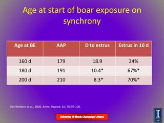 Dr. Rob Knox - Gilt Management/Puberty Induction and Sow Longevity ...