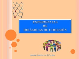 Aprendizaje Cooperativo en el IES Pino Manso

 