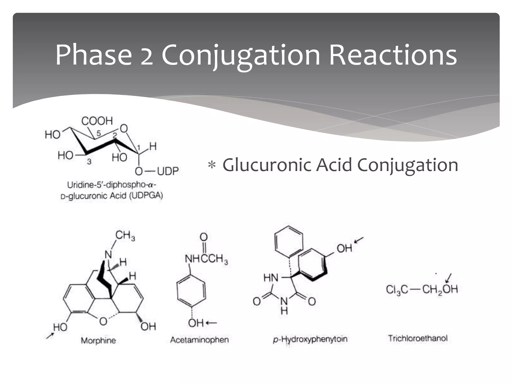 2 lab metabolic_changes_in_organic_medicinals[2] | PPTX