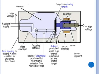 2lab xray parts