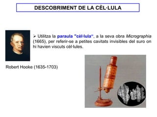 DESCOBRIMENT DE LA CÈL·LULA




               Utilitza la paraula "cèl·lula“, a la seva obra Micrographia
            (1665), per referir-se a petites cavitats invisibles del suro on
            hi havien viscuts cèl·lules.



Robert Hooke (1635-1703)
 