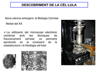 DESCOBRIMENT DE LA CÈL·LULA


 Nova ciència emergent, la Biologia Cel·lular
  Meitat del XX


   La utilització del microscopi electrònic
combinat      amb      les     tècniques    de
fraccionament      cel·lular    va     permetre
aprofundir en el coneixent de la
subestructura i la fisiologia cel·lular
 