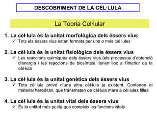DESCOBRIMENT DE LA CÈL·LULA


                         La Teoria Cel·lular
1. La cèl·lula és la unitat morfològica dels éssers vius
      Tots els éssers vius estan formats per una o més cèl·lules

2. La cèl·lula és la unitat fisiològica dels éssers vius
      Les reaccions químiques dels éssers vius (els processos d’obtenció
      d'energia i les reaccions de biosíntesi, tenen lloc a l’interior de la
      cèl·lula

3. La cèl·lula és la unitat genètica dels éssers vius
      Tota cèl·lula prové d’una altra cèl·lula ja existent. Contenen el
      material hereditari, que transmeten de cèl·lula mare a cèl·lules filles

4. La cèl·lula és la unitat vital dels éssers vius
      És la entitat més petita que compleix les funcions vitals
 