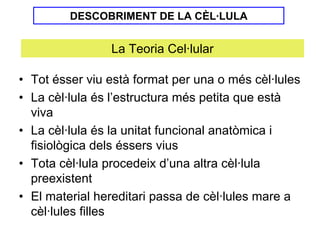 DESCOBRIMENT DE LA CÈL·LULA


                La Teoria Cel·lular

• Tot ésser viu està format per una o més cèl·lules
• La cèl·lula és l’estructura més petita que està
  viva
• La cèl·lula és la unitat funcional anatòmica i
  fisiològica dels éssers vius
• Tota cèl·lula procedeix d’una altra cèl·lula
  preexistent
• El material hereditari passa de cèl·lules mare a
  cèl·lules filles
 