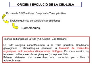 ORIGEN I EVOLUCIÓ DE LA CÈL·LULA

  Fa més de 3.500 milions d’anys en la Terra primitiva

     Evolució química en condicions prebiòtiques

                Biomolècules


Teories de l’origen de la vida (A.I. Oparin i J.B. Haldans)

La vida s’origina espontàniament a la Terra primitiva. Condicions
geològiques i atmosfèriques permeten la formació de molècules
orgàniques molt variades d'importància biològica. En mars arcaics es
formaven moltes molècules orgàniques (brou primordial)
Primers sistemes macromoleculars amb capacitat per créixer i
autoreplicar-se.
 