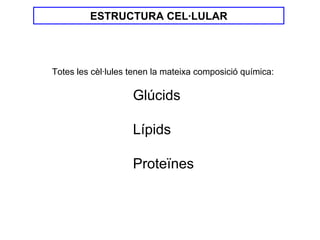 ESTRUCTURA CEL·LULAR




Totes les cèl·lules tenen la mateixa composició química:

                    Glúcids

                    Lípids

                    Proteïnes
 