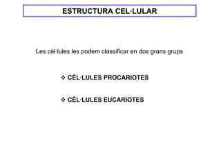 ESTRUCTURA CEL·LULAR




Les cèl·lules les podem classificar en dos grans grups



           CÈL·LULES PROCARIOTES


           CÈL·LULES EUCARIOTES
 