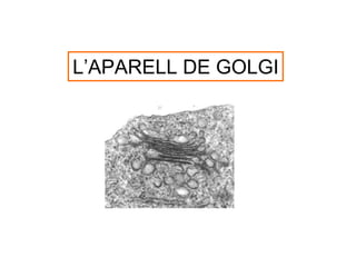 L’APARELL DE GOLGI
 