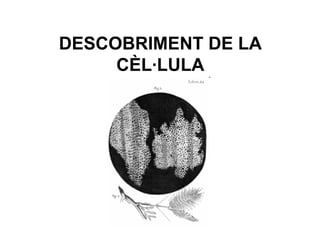 DESCOBRIMENT DE LA
     CÈL·LULA
 