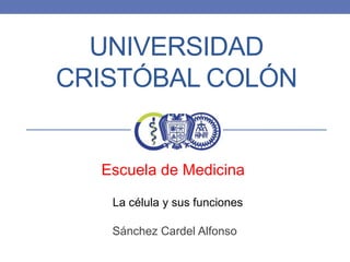 UNIVERSIDAD
CRISTÓBAL COLÓN

Escuela de Medicina
La célula y sus funciones
Sánchez Cardel Alfonso

 