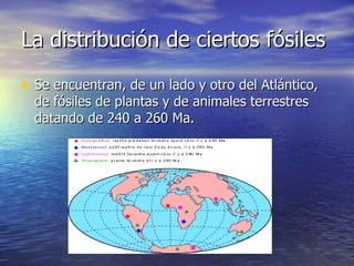 La distribución de ciertos fósiles  Se encuentran, de un lado y otro del Atlántico, de fósiles de plantas y de animales terrestres datando de 240 a 260 Ma.  